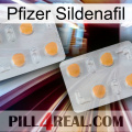 Pfizer Sildenafil 25